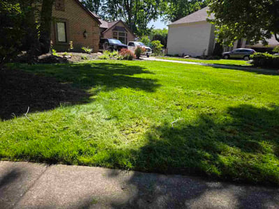 Lawn care service in Westlake, 44145