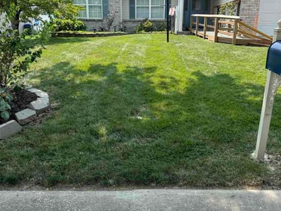 Lawn care service in St. Peters, 63376