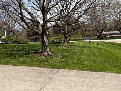 Lawn care service in Brookfield, 53005