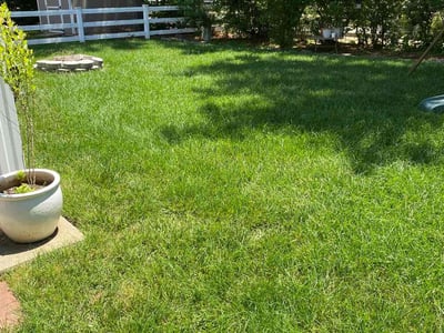 Lawn care service in Virginia Beach, 23453