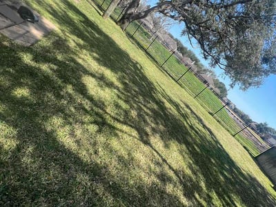 Lawn care service in Missouri City, 77459