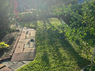 Lawn care service in Daytona Beach, 32118