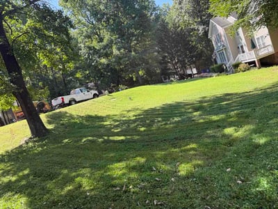 Lawn care service in Glen Allen, 23060