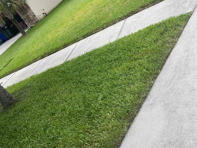 Lawn care service in Saint Johns, 32259