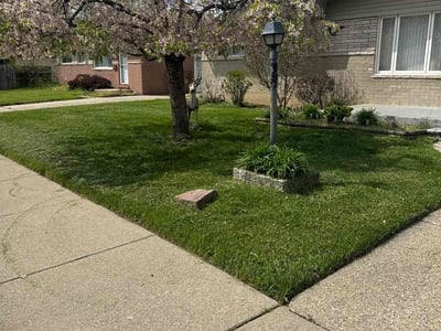 Lawn care service in Clinton Township, 48035