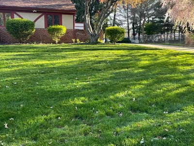Lawn care service in Columbus, 43232