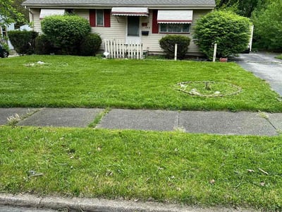 Lawn care service in Youngstown, 44505