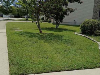 Lawn care service in Nashville, 37221
