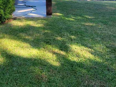 Lawn care service in Shreveport, 71106