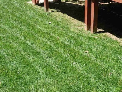 Lawn care service in PAPILLION, 68046