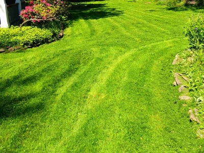 Lawn care service in Pittsburgh, 15202