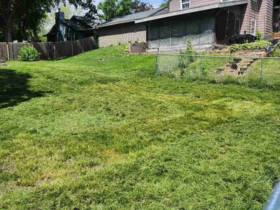 Lawn care service in Des Moines, 50312