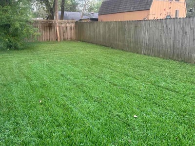 Lawn care service in Humble, 77338