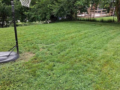 Lawn care service in Pittsburgh, 15219