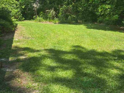 Lawn care service in Saint Matthews, 29135