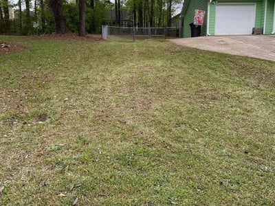 Lawn care service in Powder Springs, 30127