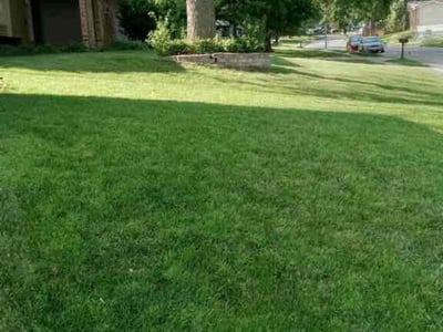 Lawn care service in Omaha, 68154