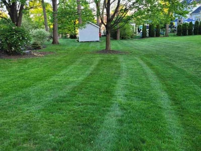 Lawn care service in Bethlehem, 18015