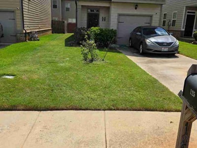 Lawn care service in Covington, 30016