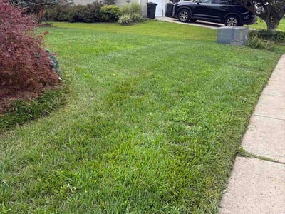 Lawn care service in Perry Hall, 21236