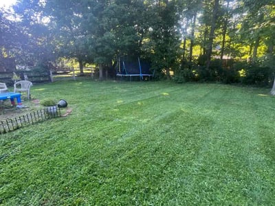Lawn care service in Amelia, 45102