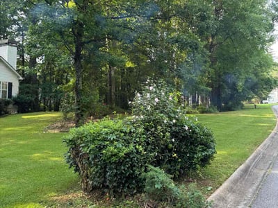 Lawn care service in Newnan, 30265