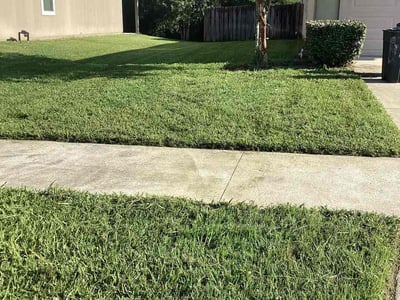 Lawn care service in Jacksonville, 32221