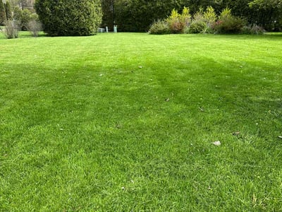 Lawn care service in Pleasant Prairie, 53158