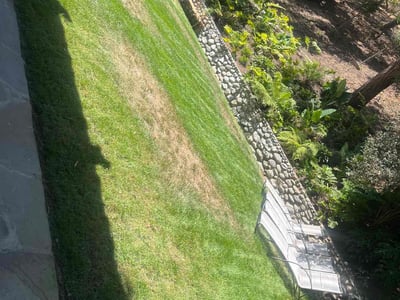 Lawn care service in Beverly Hills, 90210