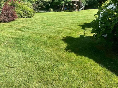 Lawn care service in Norwalk, 06851