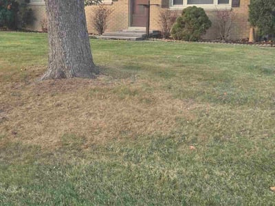 Lawn care service in Greenfield, 53220
