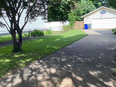 Lawn care service in Norfolk, 23503