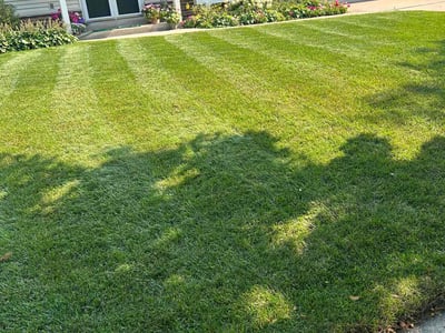 Lawn care service in Waukesha, 53188