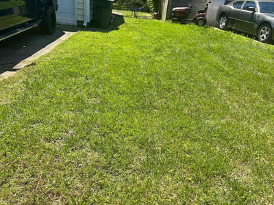 Lawn care service in Hampton, 23666