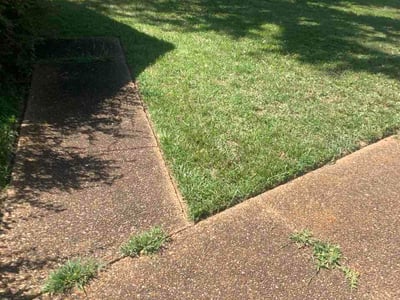 Lawn care service in Memphis, 38141