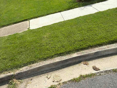 Lawn care service in Odenton, 21113