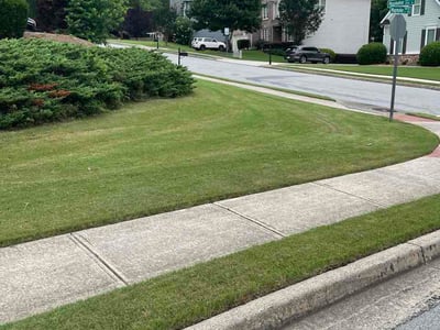 Lawn care service in Dacula, 30019