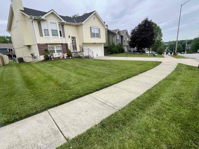 Lawn care service in Kansas City, 64119