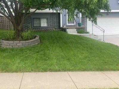 Lawn care service in Omaha, 68116