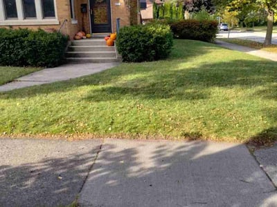 Lawn care service in Shorewood, 53211