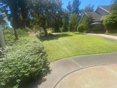 Lawn care service in Yuba City, 95991