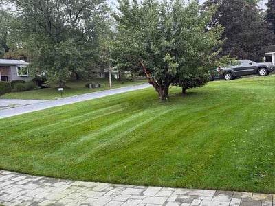 Lawn care service in Harrisburg, 17111