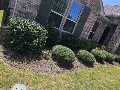 Lawn care service in Forney, 75126