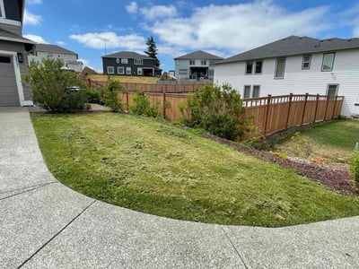 Lawn care service in Auburn, 98092