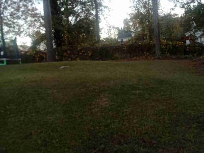 Lawn care service in Douglasville, 30135