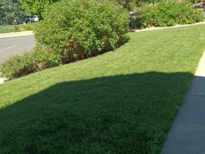 Lawn care service in Colorado Springs, 80923