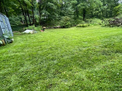 Lawn care service in Patterson, 12563