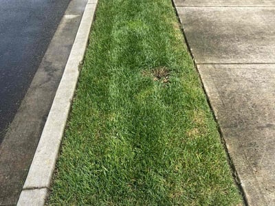 Lawn care service in Vancouver, 98682