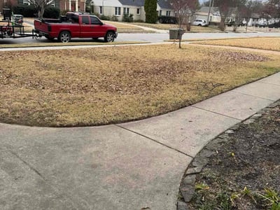Lawn care service in Memphis, 38122
