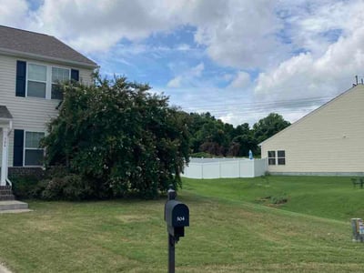 Lawn care service in Wendell, 27591